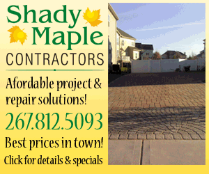 Shady Maple