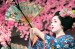 16th Annual Subaru Cherry Blossom Festival of Greater Philadelphia