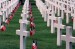 Memorial Day Reflection and Celebration